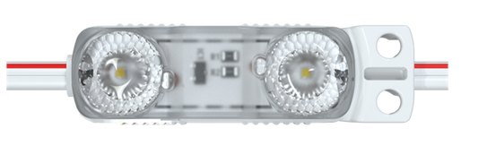 TMT LEDS- Mini 2 24V-  1 Watt 6500K- 50 Count